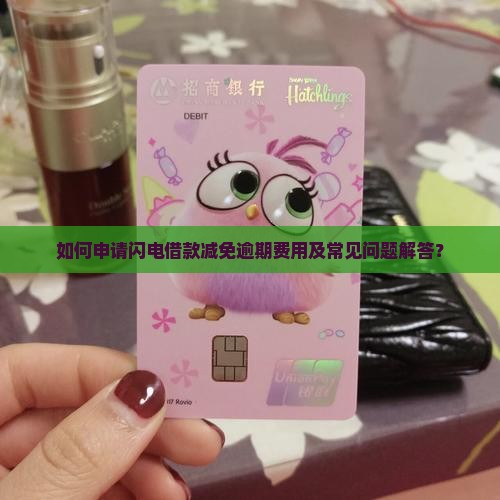 如何申请闪电借款减免逾期费用及常见问题解答？