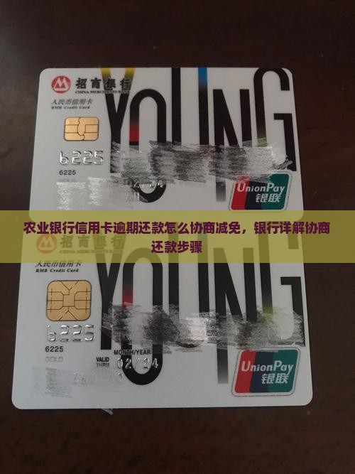 农业银行信用卡逾期还款怎么协商减免，银行详解协商还款步骤
