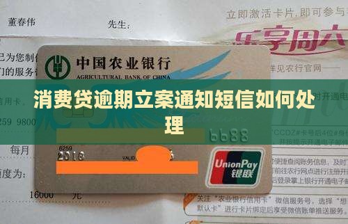 消费贷逾期立案通知短信如何处理
