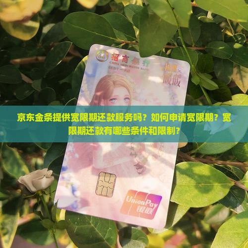 京东金条提供宽限期还款服务吗？如何申请宽限期？宽限期还款有哪些条件和限制？