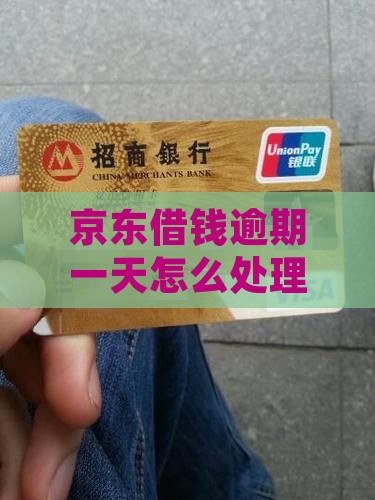 京东借钱逾期一天怎么处理怎么办？