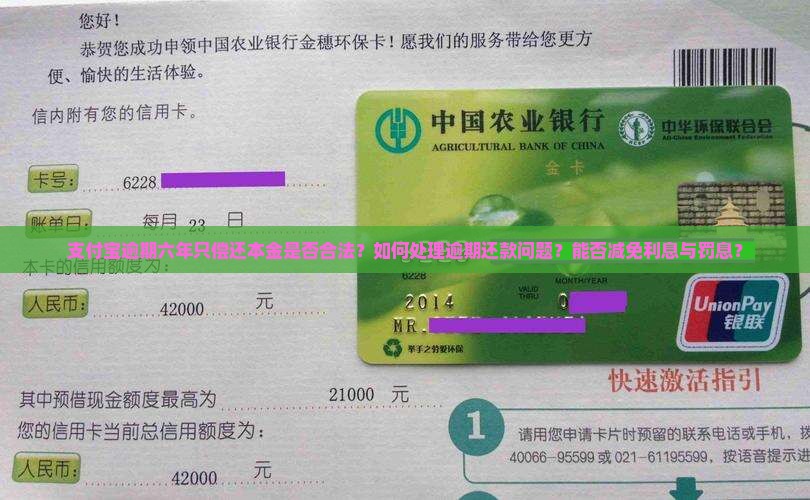 支付宝逾期六年只偿还本金是否合法？如何处理逾期还款问题？能否减免利息与罚息？