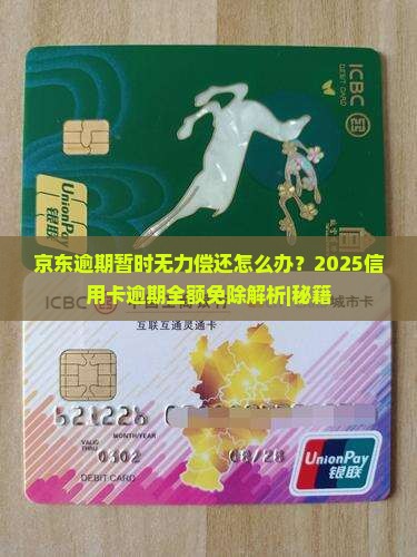 京东逾期暂时无力偿还怎么办