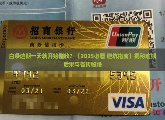 白条逾期一天开始催收