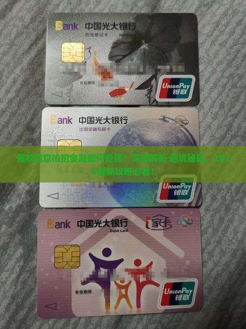 催收信息拍拍金融如何处理