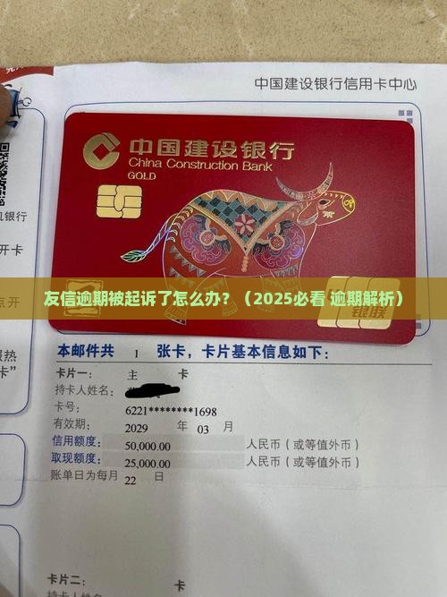 友信逾期被起诉了怎么办