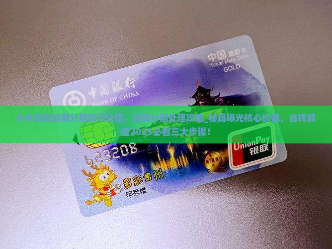 小米借款逾期分期如何处理