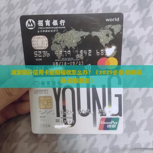 浦发银行催收还本金怎么办