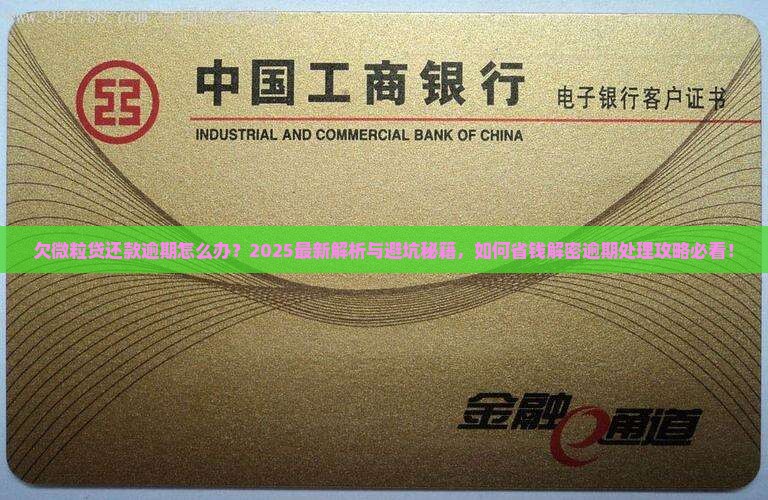 欠信用卡还款逾期怎么办