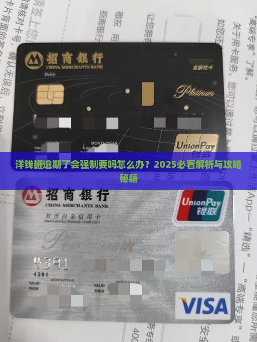 洋钱罐逾期了会强制要吗怎么办