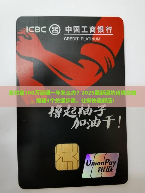 支付宝100万逾期一年怎么办