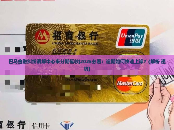 巴马金融纠纷调解中心来分期催收