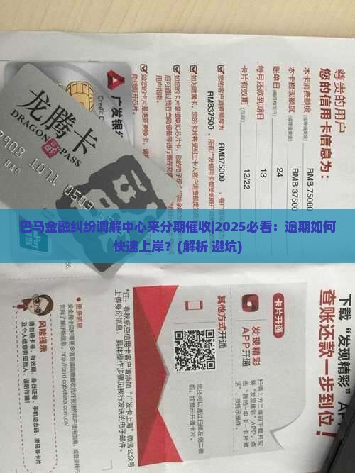 巴马金融纠纷调解中心来分期催收