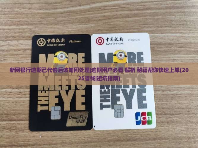 新网银行逾期已代偿后该如何处理