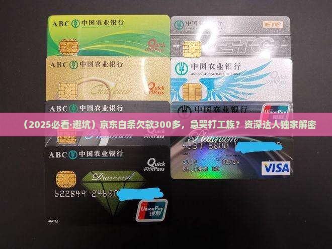 京东白条欠款300多怎么办