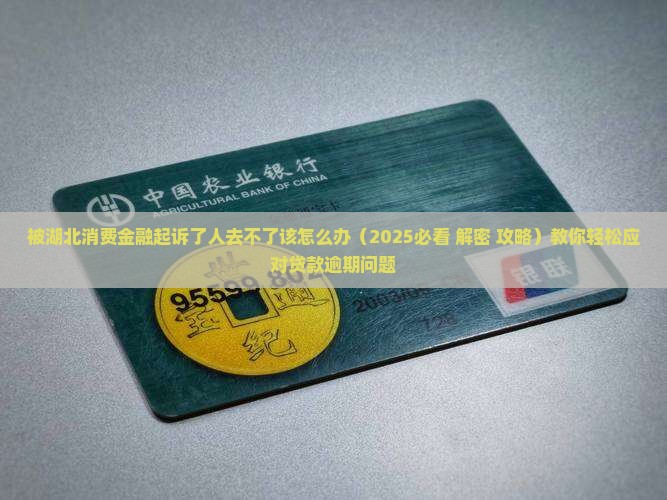 被湖北消费金融起诉了人去不了该怎么办