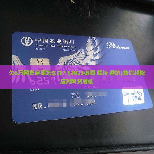 欠6万网贷逾期怎么办