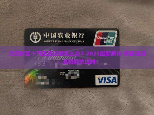 欠支付宝十万无法还款怎么解决