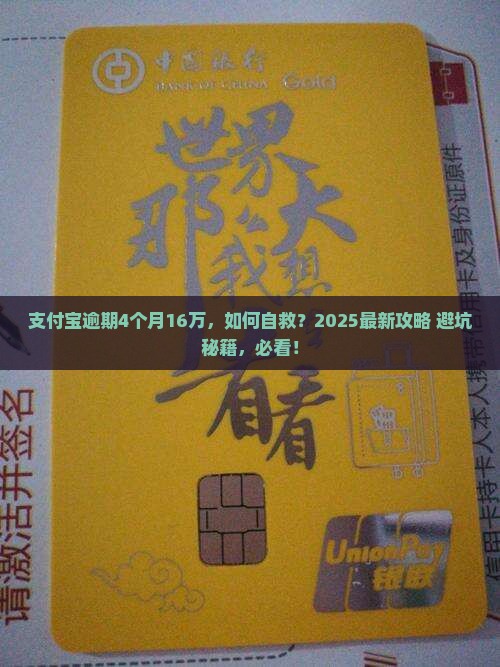 支付宝逾期4个月16万如何处理