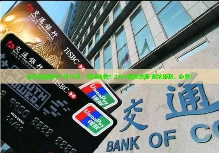 支付宝逾期4个月16万如何处理