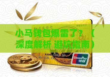 小马钱包无力还债
