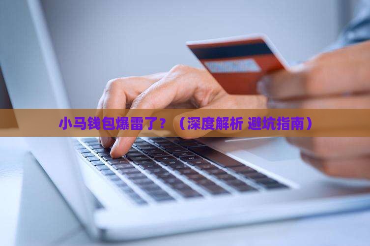小马钱包无力还债