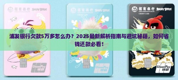 浦发银行欠款5万多怎么办