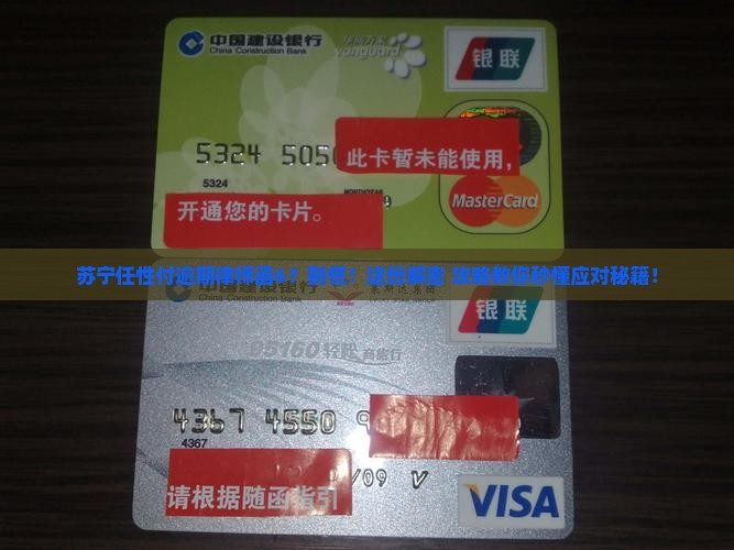 苏宁任性付逾期律师函6