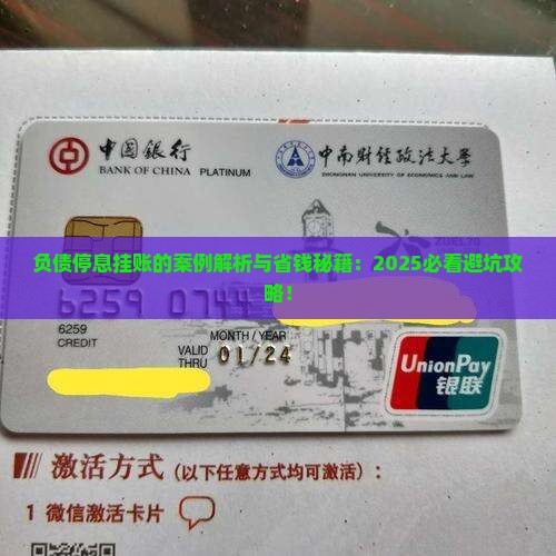 负债停息挂账的案例解析