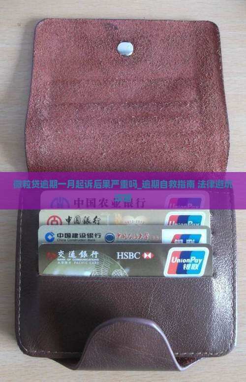 微粒贷逾期一月起诉后果严重吗