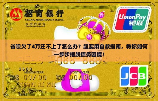 省呗欠了4万还不上了怎么办