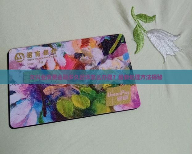 欠兴业消费金融多久起诉怎么办理