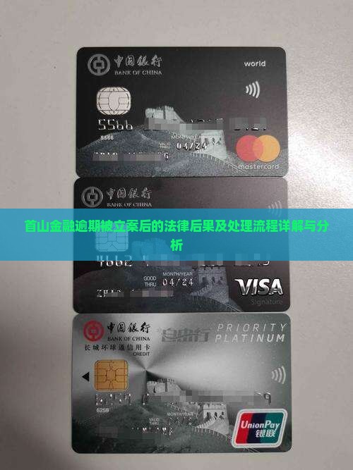 首山金融逾期被立案后的法律后果