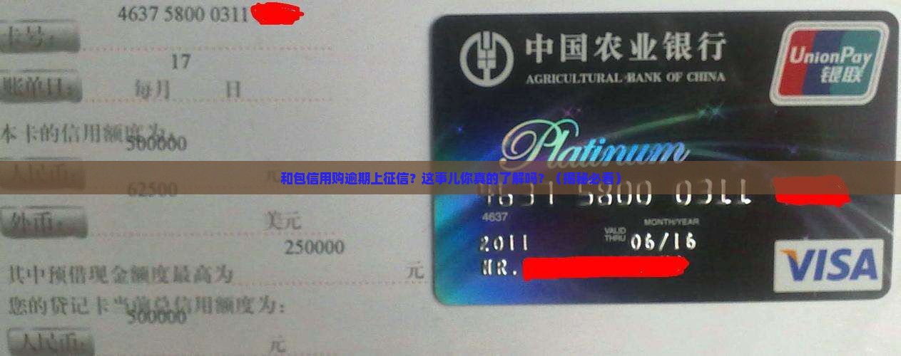和包信用购逾期上征信如何处理