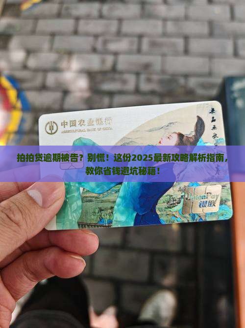 拍拍贷逾期被告怎么办法律救济措施是什么