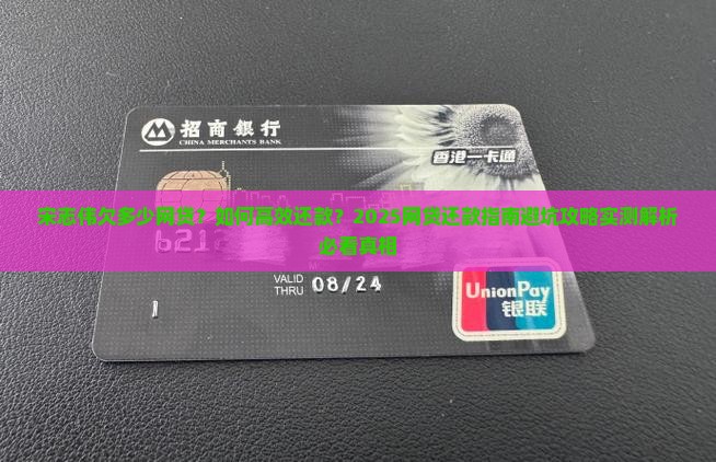 宋志伟欠多少网贷该如何还款