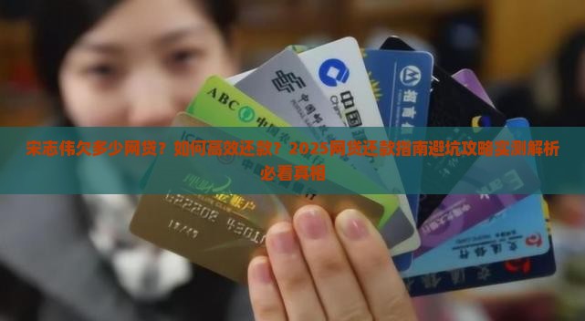 宋志伟欠多少网贷该如何还款