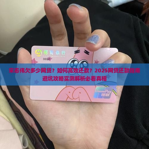 宋志伟欠多少网贷该如何还款