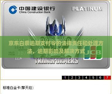 京东白条逾期支付令的法律责任和处理方法