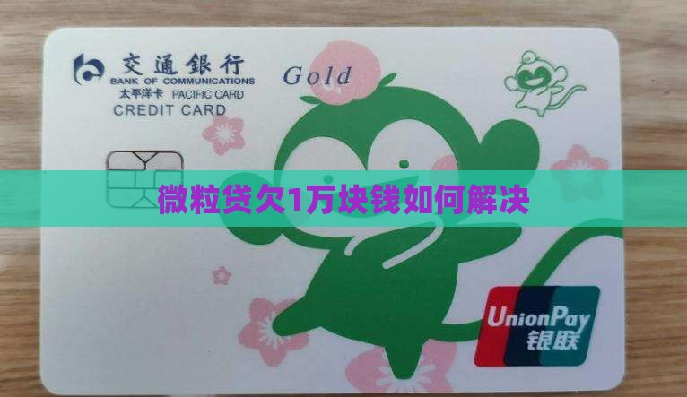 微粒贷欠1万块钱如何解决