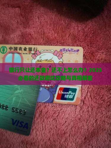 银行只让还本金还是还不上怎么办
