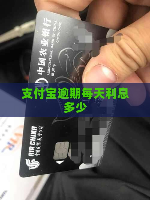 支付宝逾期每天利息多少