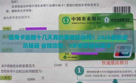 信用卡逾期十几天要起诉该怎么办