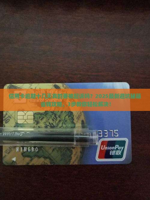 信用卡逾期十几天要起诉该怎么办