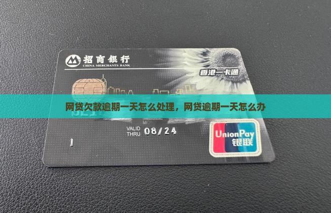 网贷欠款逾期一天怎么处理
