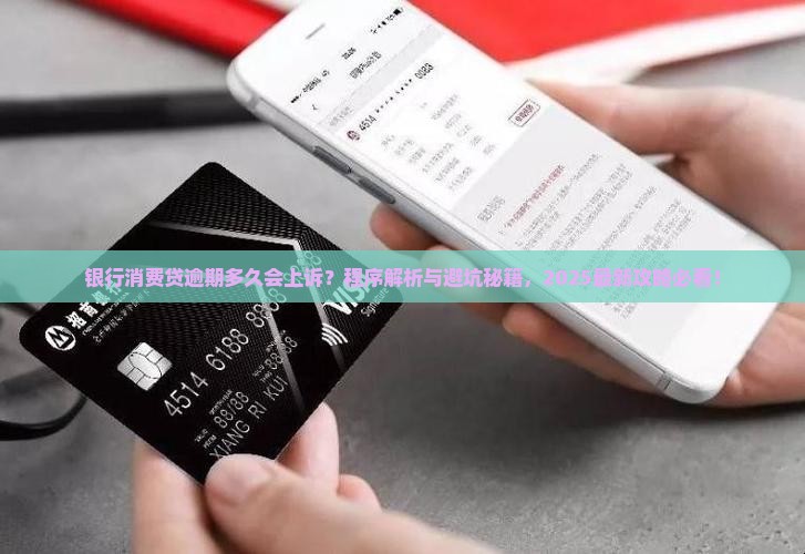 银行消费贷逾期多久会上诉程序是怎样的