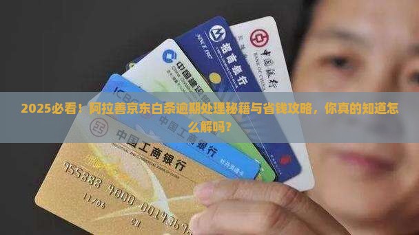 阿拉善京东白条逾期的处理方式