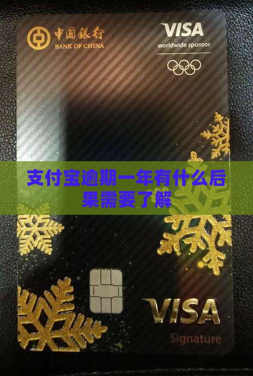 支付宝逾期一年有什么后果需要了解