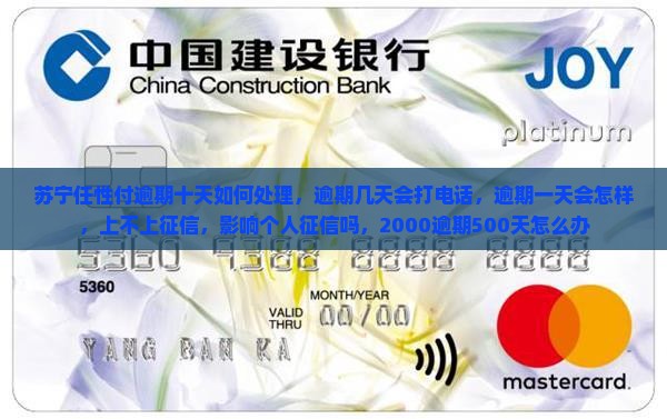 苏宁任性付逾期十天如何处理