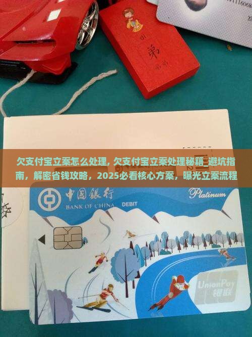 欠支付宝立案怎么处理